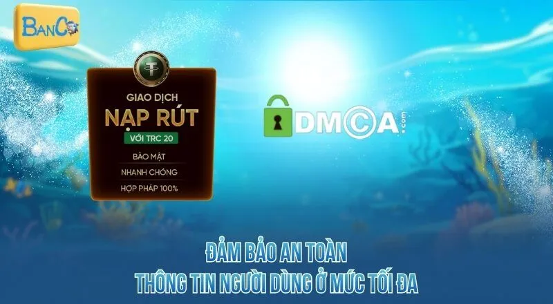 dam-bao-an-toan-thong-tin-nguoi-dung-o-muc-toi-da
