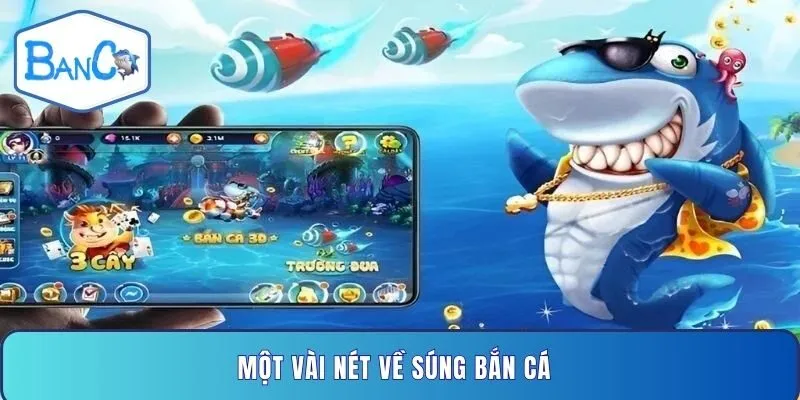 mot-vai-net-ve-sung-ban-ca